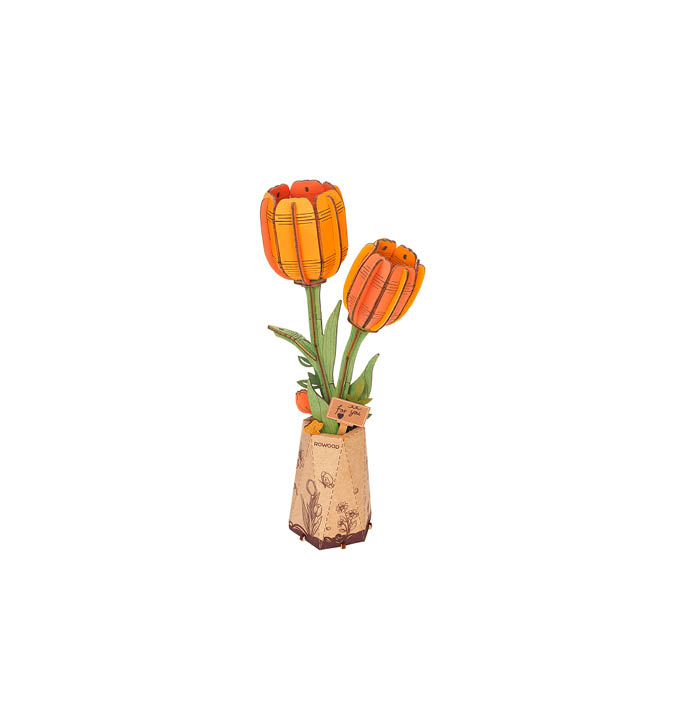 Productvisuals_Modelbouw-Robotime-Orange-Tulip-TW081-