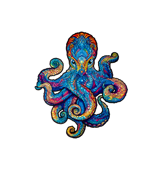 Productvisuals_Puzzels-UNIDRAGON-Magnetic-Octopus-