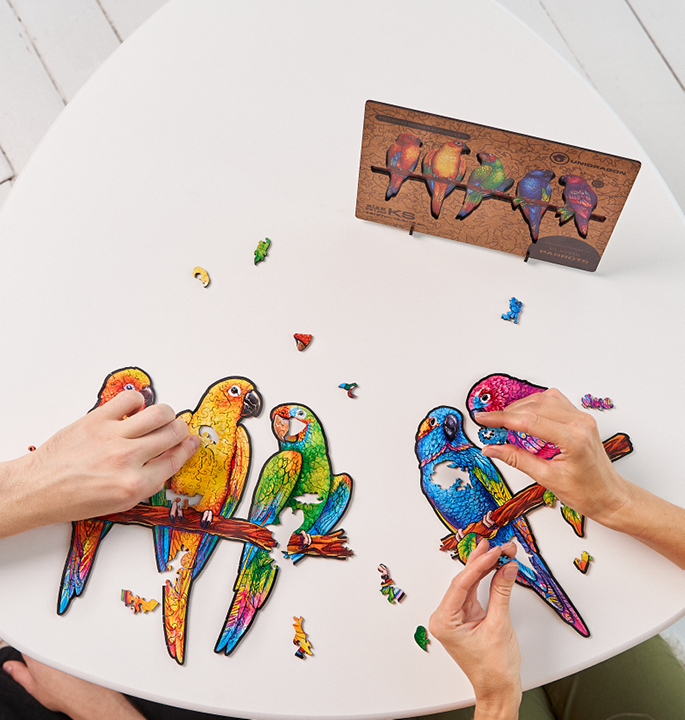 Productvisuals_Puzzels-UNIDRAGON-Playful-Parrots9-1