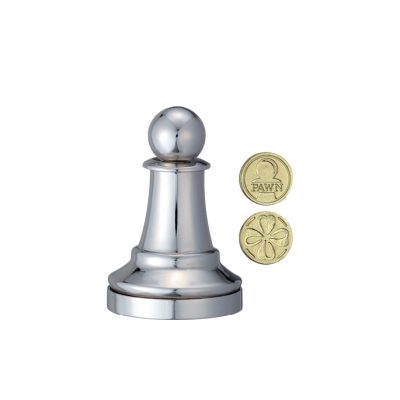 Productvisuals_Breinbrekers-Cast-Puzzle-Chess-Pawn-Zilver