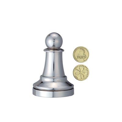 Productvisuals_Brainbreakers-Cast-Puzzle-Chess-Pawn-Silver