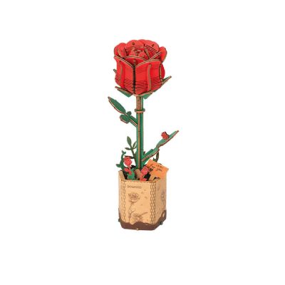 Productvisuals_Modelbouw Robotime Red Rose TW042